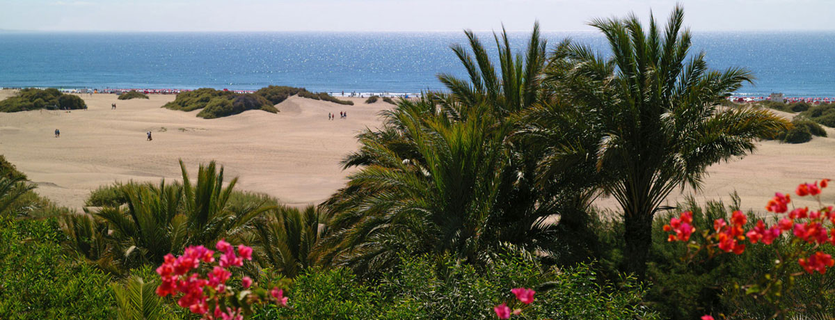 Tiempo Web Cams en Playa del Inglés