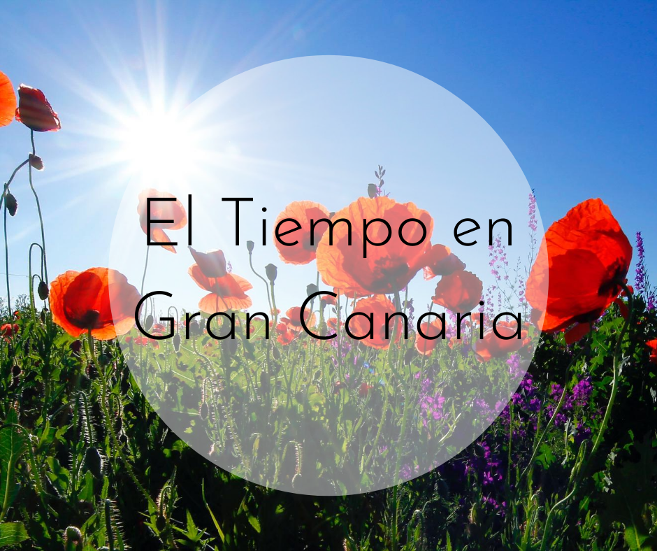 El Tiempo
